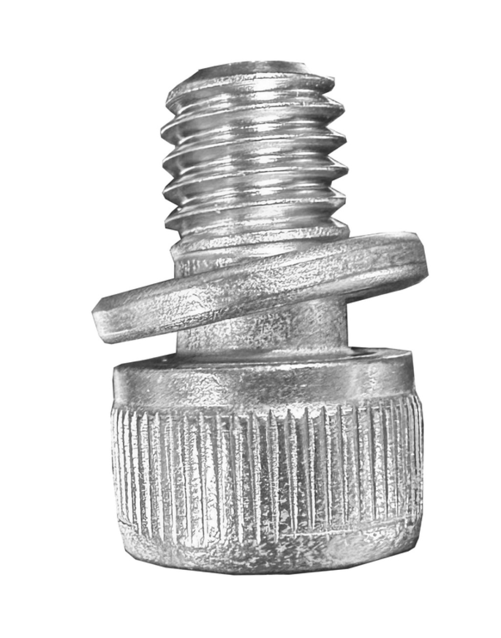 Screw evaporator FM